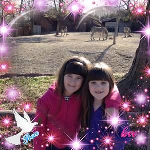 Meet your Posher, Wendy